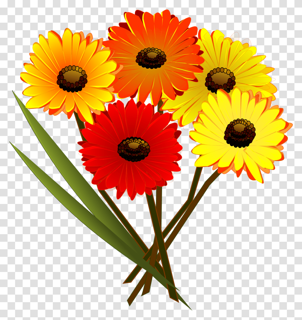 Download Daisy Clipart Flower Bunch Red Yellow And Orange Flowers, Plant, Blossom, Daisies, Petal Transparent Png