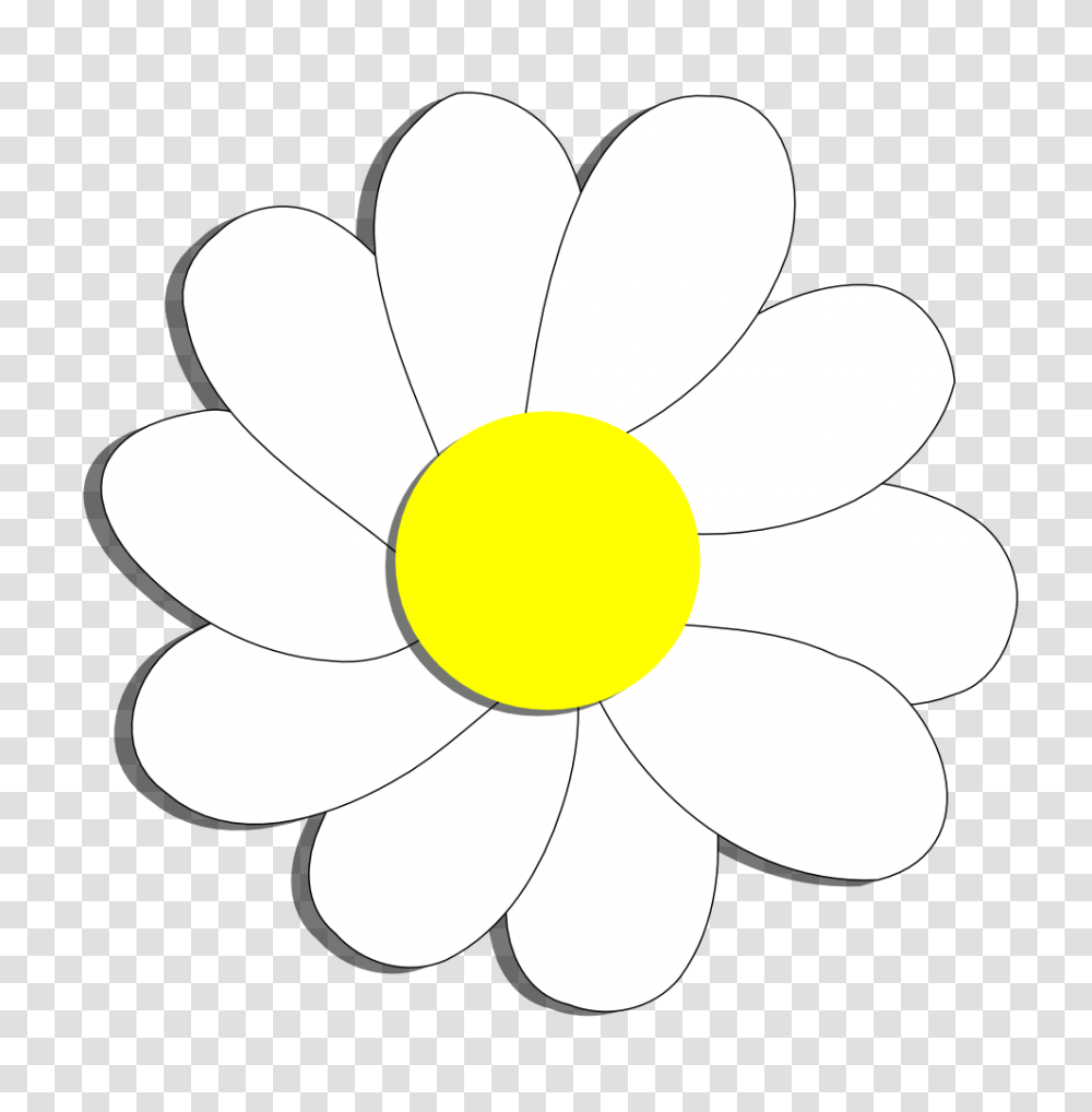 Download Daisy Clipart Flower Daisy Flowers Clipart Simple Easy Trippy Things To Draw, Plant, Blossom, Daisies, Petal Transparent Png