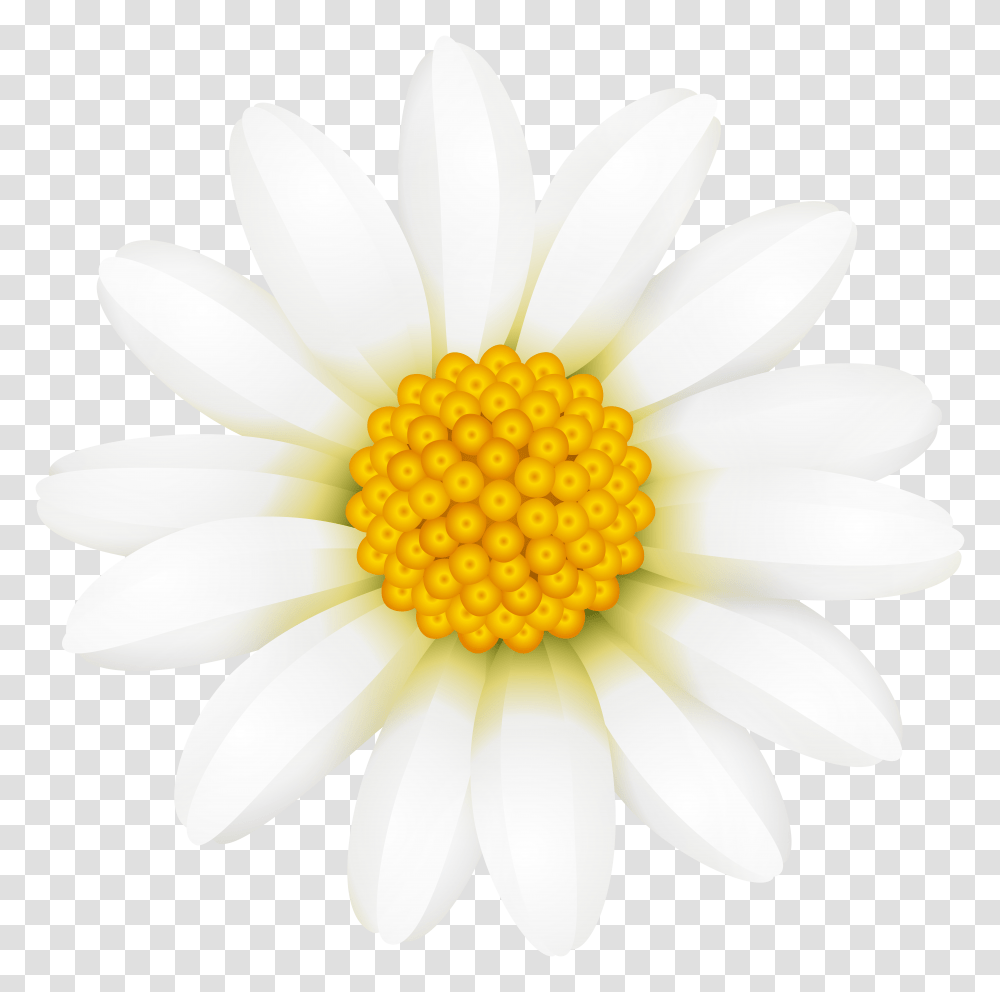 Download Daisy Flower Crown Full Size Transparent Png