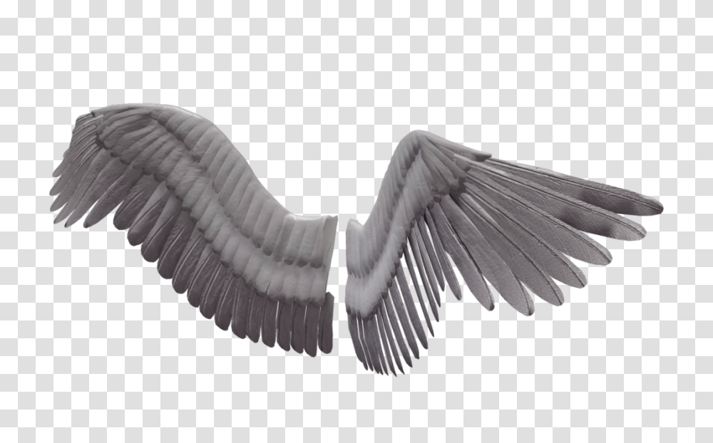 Download Dark Angel Clipart Real Angel Wings No Background Bird Wings Free 3d Model, Animal, Flying, Waterfowl, Swan Transparent Png