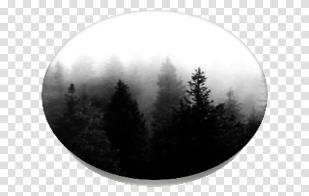 Download Dark Forest Popsockets Christmas Tree Full Larch, Nature, Moon, Outer Space, Night Transparent Png