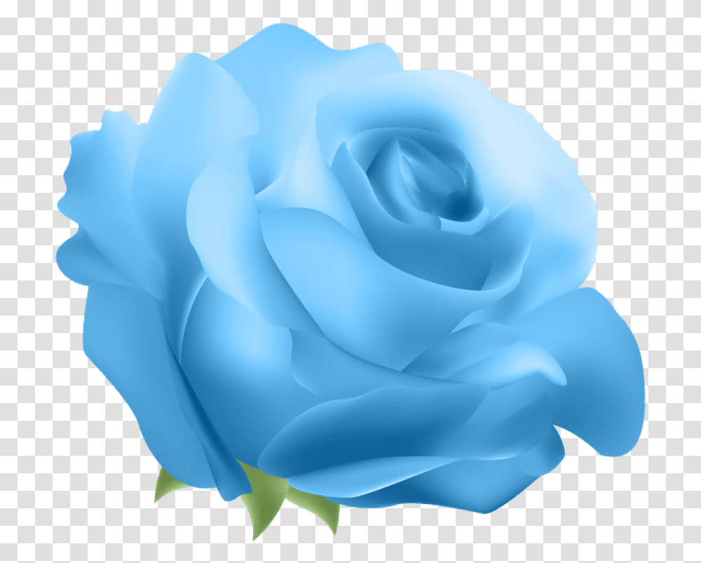 Download Deco Rose Blue Clip Art Rose Blue Flower Background, Plant, Blossom, Petal, Anemone Transparent Png