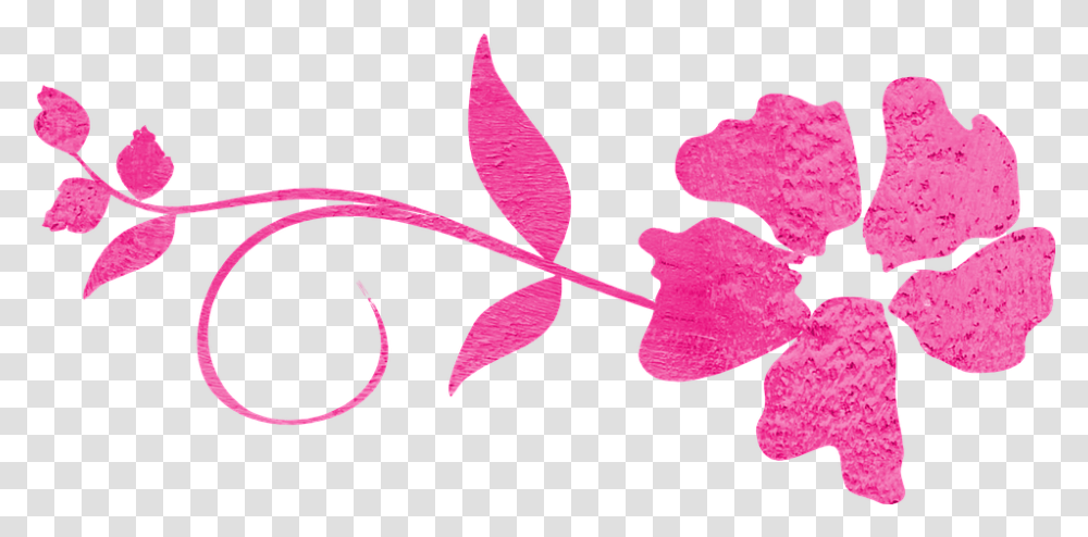 Download Decorative Blue Line Curve Lines Pink Flower Line, Plant, Blossom, Petal, Hibiscus Transparent Png