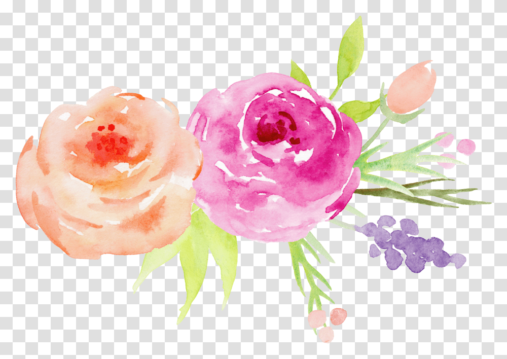Download Decorative Flower Garden Watercolor Paint Flower, Plant, Rose, Blossom, Graphics Transparent Png