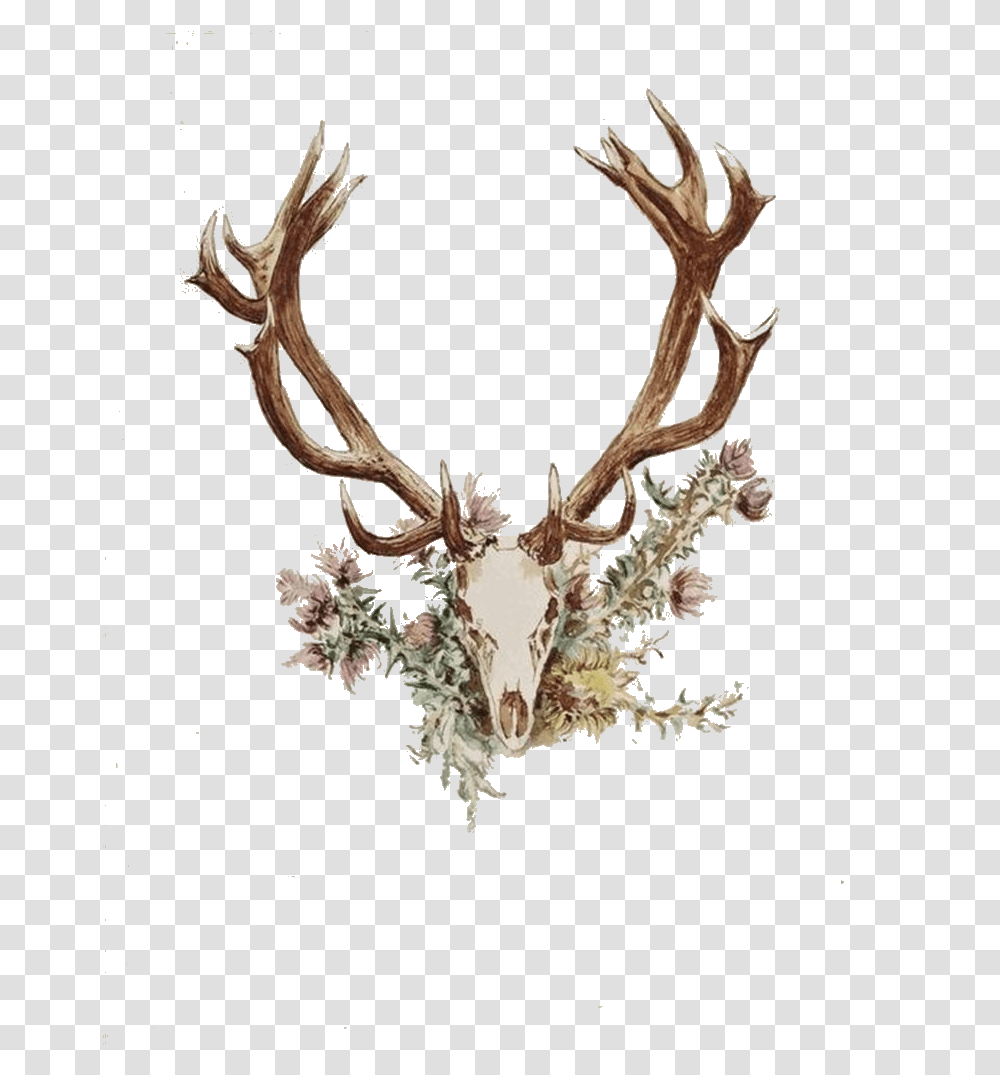 Download Deer Antler Deer Skull With Flowers Tattoo, Elk, Wildlife, Mammal, Animal Transparent Png