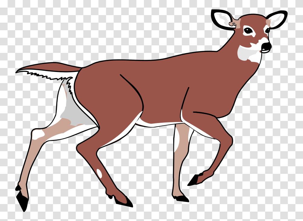 Download Deer Black And White Images Clipart Animated Deer, Wildlife, Animal, Mammal, Antelope Transparent Png