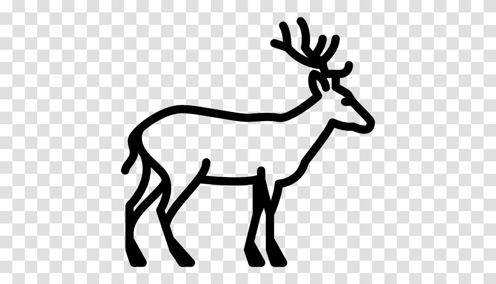 Download Deer Icon Black And White Clipart Deer Computer Icons, Antelope, Wildlife, Mammal, Animal Transparent Png