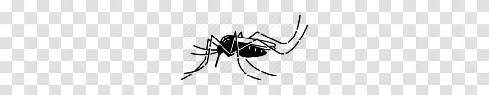 Download Dengue Mosquito Icon Clipart Yellow Fever Mosquito Dengue, Invertebrate, Animal, Scorpion, Insect Transparent Png