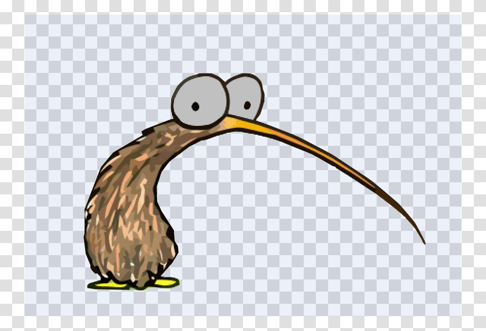 Download Derpy Kiwi Bird Clipart Flightless Bird Little Spotted Kiwi, Animal, Amphibian, Wildlife, Tadpole Transparent Png