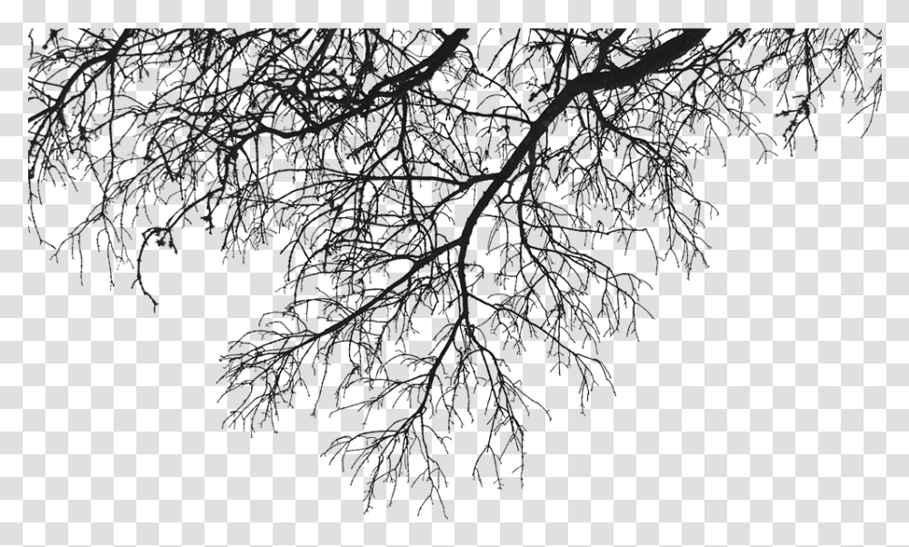 Download Descargar Tree Branches, Nature, Outdoors, Pattern, Night Transparent Png