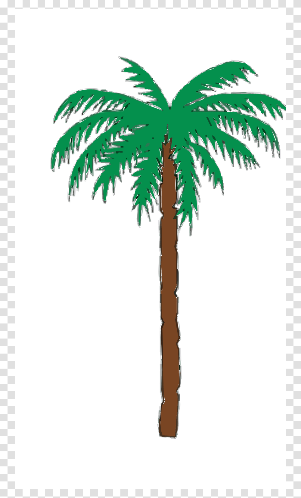 Download Desert Trees Clipart Palm Trees Clip Art Tree Leaf, Plant, Arecaceae Transparent Png