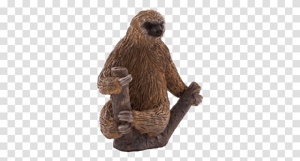 Download Did Animal Planet Two Toed Sloth Image With Mojo Two Toed Sloth, Bird, Mammal, Wildlife, Beaver Transparent Png