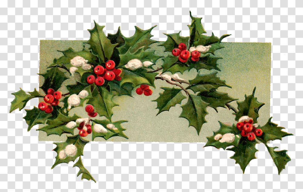 Download Digital Christmas Holly Vintage Christmas Holly Holly Branch, Plant, Leaf, Fruit, Food Transparent Png