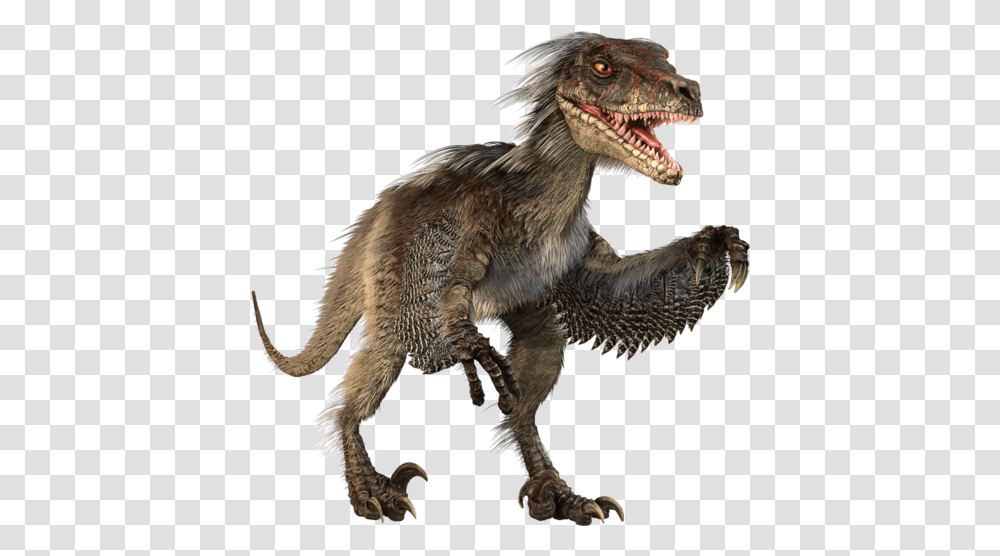 Download Dinosaur Background Image Raptor Dinosaur, Reptile, Animal, T-Rex, Bird Transparent Png