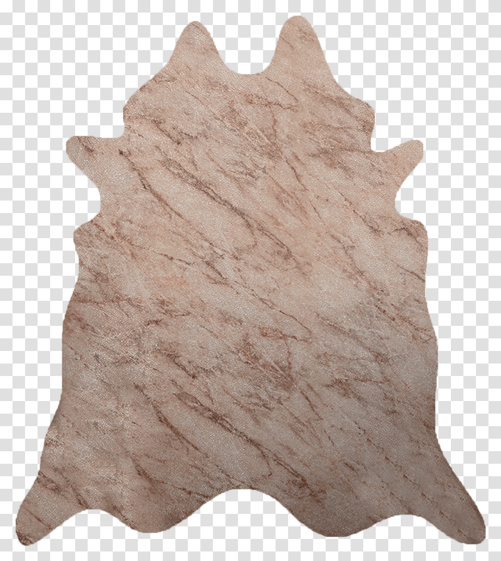 Download Distress Floor, Leaf, Plant, Soil, Rock Transparent Png