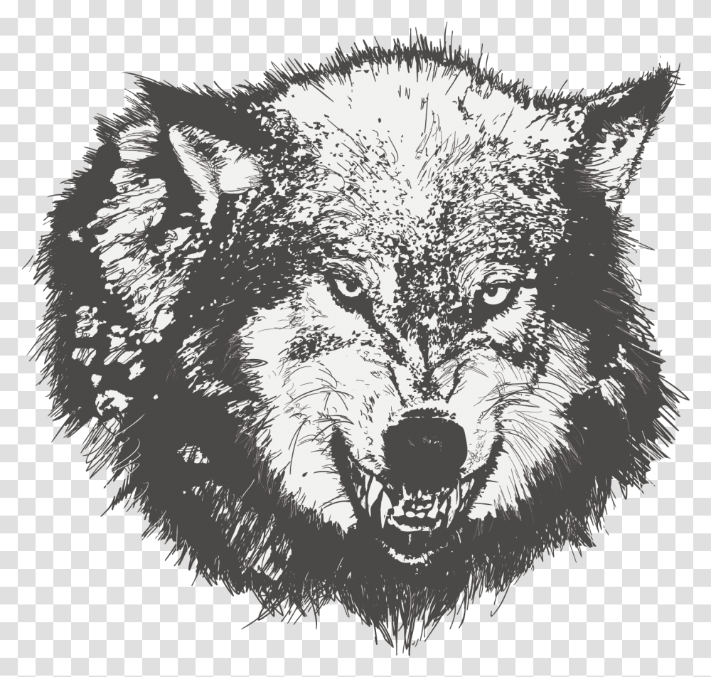 Download Dog Drawing Black Wolf Sketch Drawing Angry Wolf Face, Mammal, Animal, Red Wolf, Canine Transparent Png