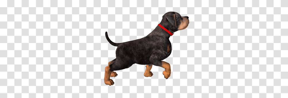 Download Dog Free Image And Clipart, Pet, Canine, Animal, Mammal Transparent Png