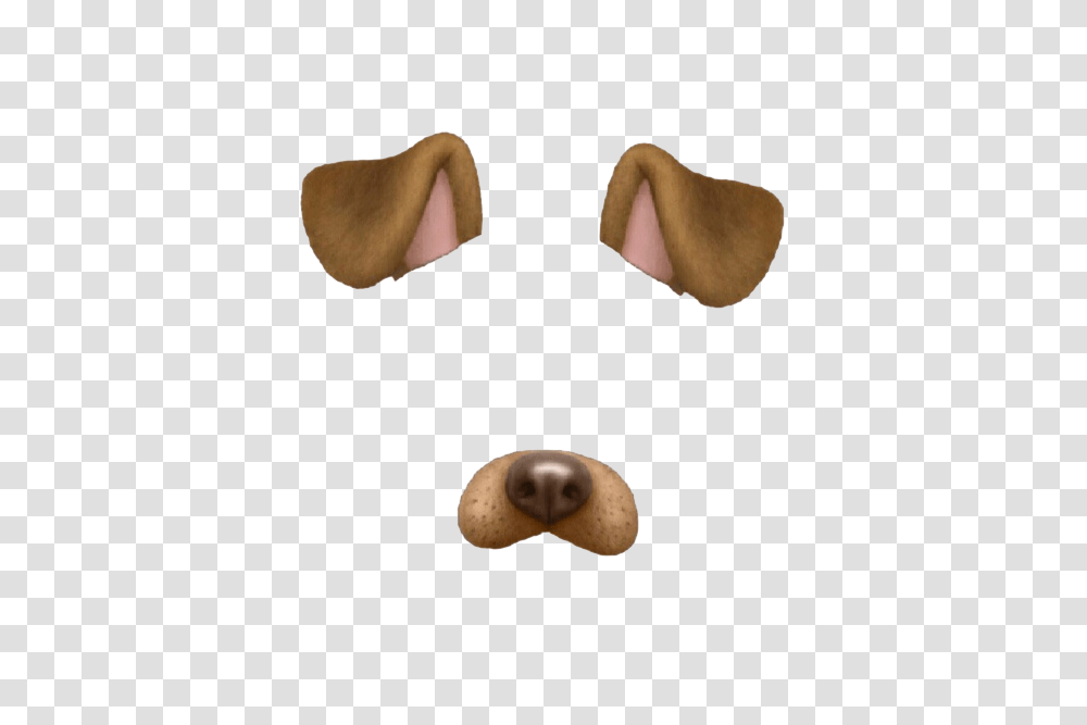 Download Dog Puppy Snapchat Cat We Heart It Snapchat Dog Snapchat Dog Filter Name, Clothing, Apparel, Plant, Seed Transparent Png