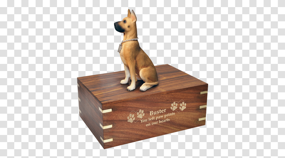 Download Dog Urn For Great Dane Shown Engraved In Gold Dog Dog Breed, Pet, Canine, Animal, Mammal Transparent Png