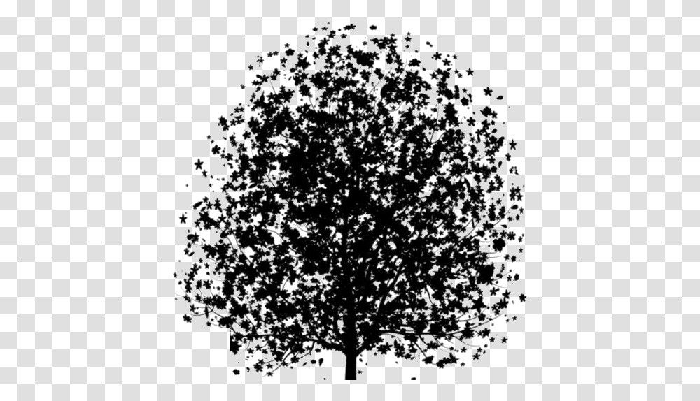 Download Dogwood Tree Images Cherry Family, Plant, Graphics, Art, Rug Transparent Png