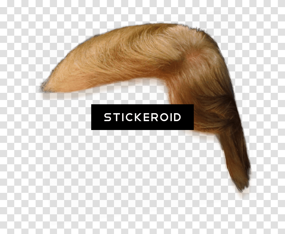Download Donald Trump Hair Side View Lace Wig, Bird, Animal, Ear, Heel Transparent Png