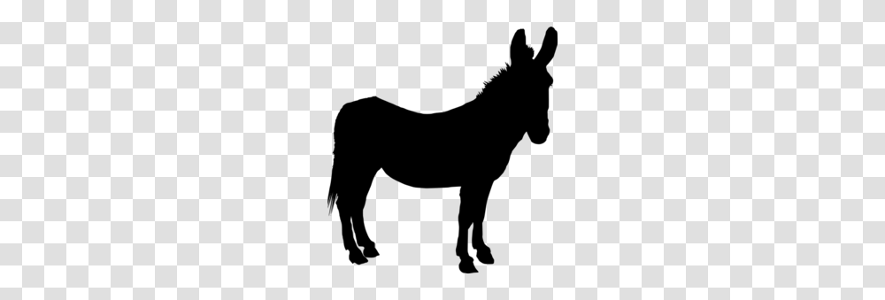 Download Donkey Silhouettes Clipart Pace For The Donkeys Trail, Gray, World Of Warcraft Transparent Png