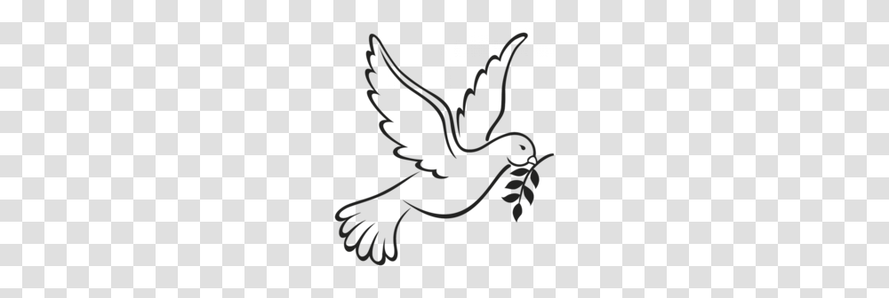 Download Dove Symbol Of Peace Clipart Pigeons And Doves Doves As, Silhouette, Label, Alphabet Transparent Png