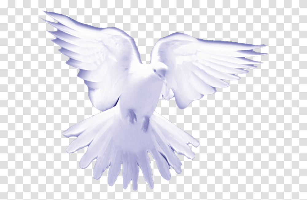 Download Dove White Birds On Heaven Image With No Holy Spirit, Animal, Pigeon Transparent Png