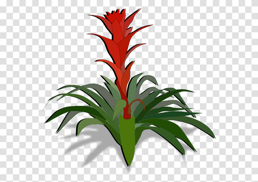 Download Download Bromeliad Clipart, Plant, Flower, Blossom, Palm Tree Transparent Png