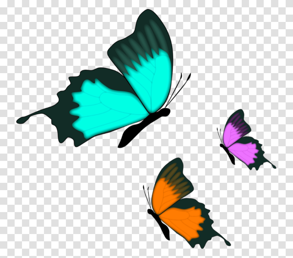 Download Download Farfalle, Insect, Invertebrate, Animal, Fish Transparent Png