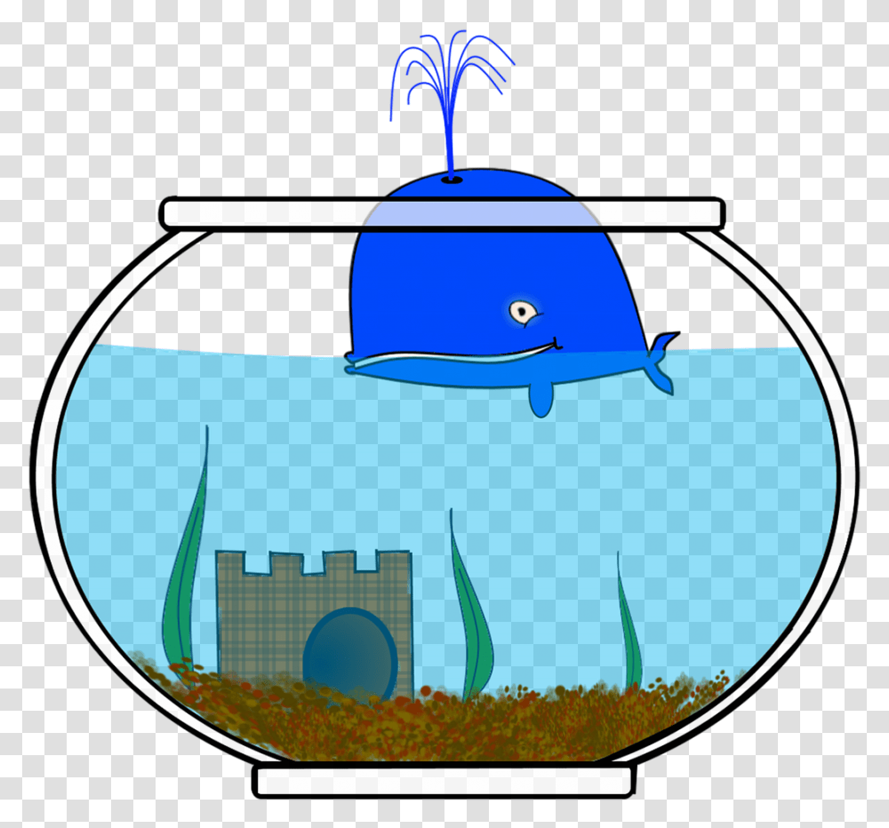 Download Download Glass Fish Cartoon, Water, Outdoors, Nature Transparent Png