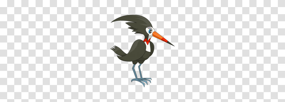 Download Download Provides Free And Quality, Stork, Bird, Animal, Beak Transparent Png