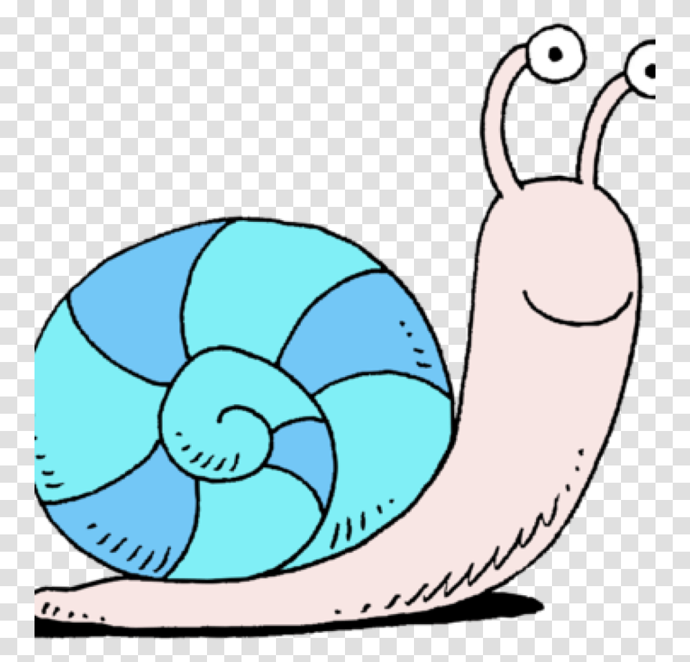 Download Download Snail Free Clipart, Invertebrate, Animal, Soccer Ball, Football Transparent Png