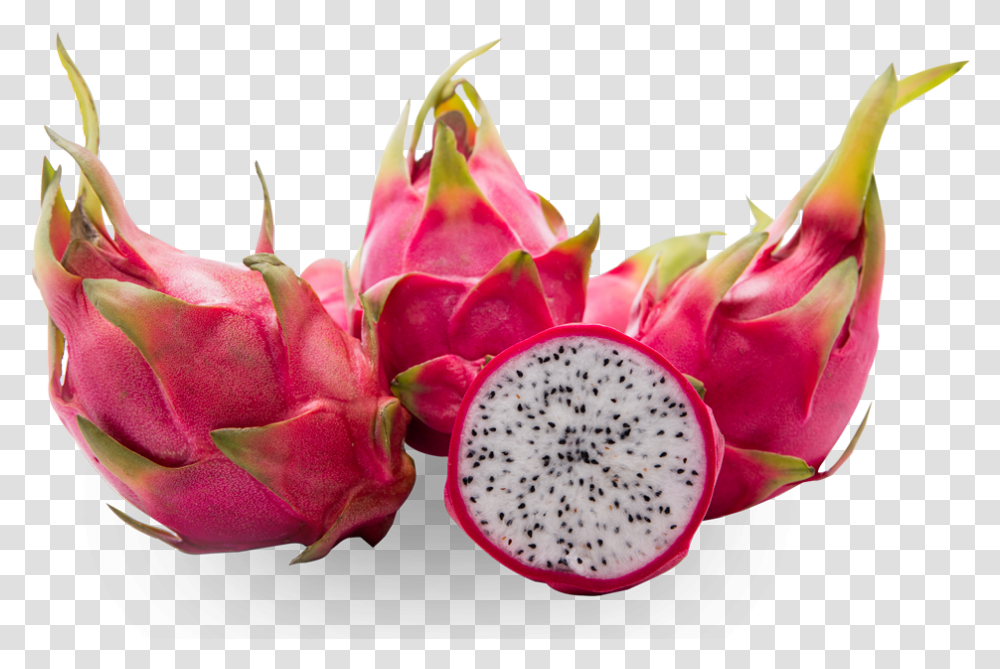 Download Dragon Fruit Pitaya, Plant, Geranium, Flower, Petal Transparent Png