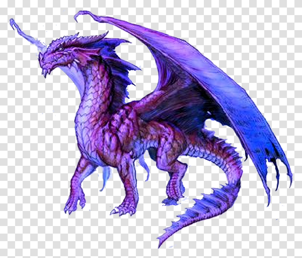 Download Dragon Purple Dragons, Animal Transparent Png