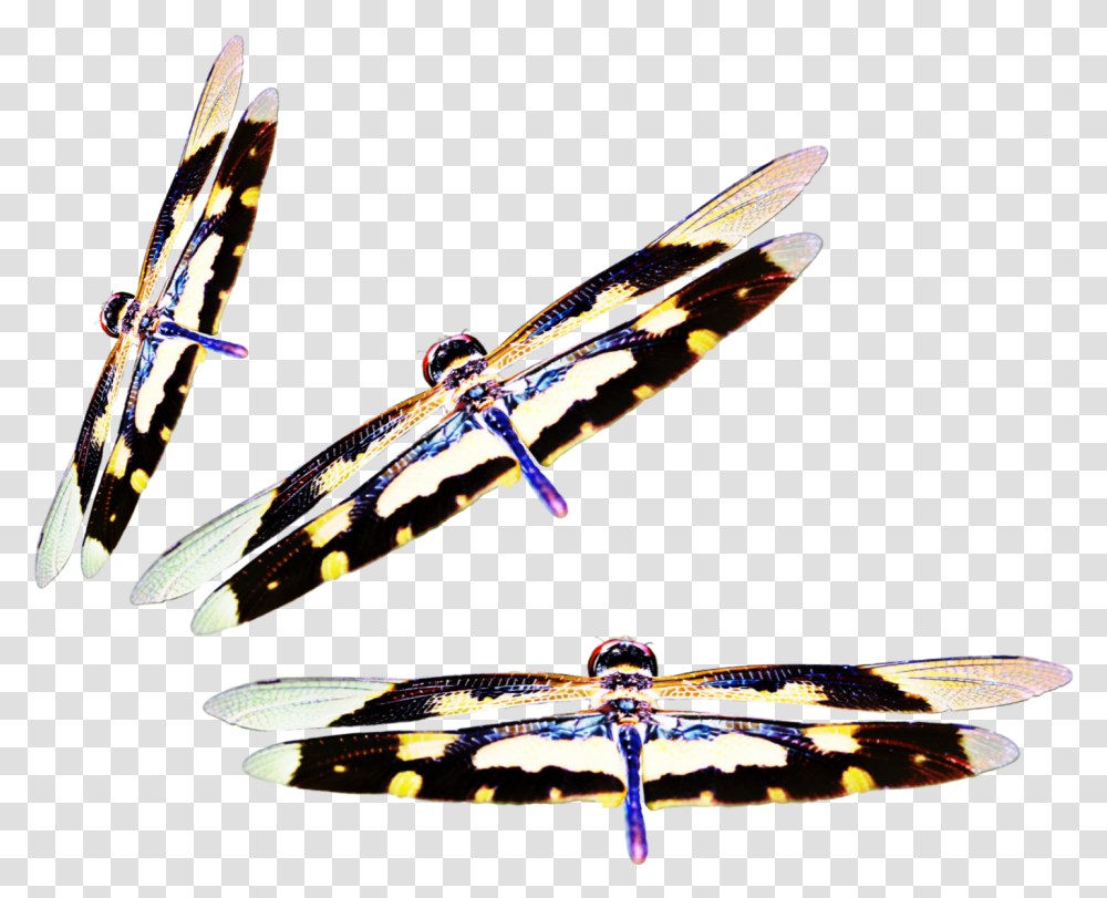 Download Dragonflies Three Insect Nate Wings Surfboard, Ceiling Fan, Appliance, Crowd, Invertebrate Transparent Png