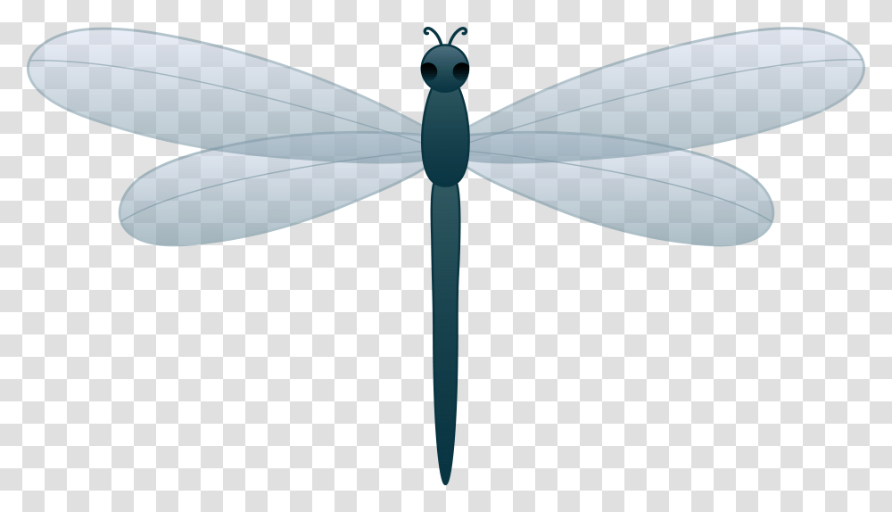 Download Dragonfly Picture For Designing Dragonfly Clipart, Insect, Invertebrate, Animal, Anisoptera Transparent Png