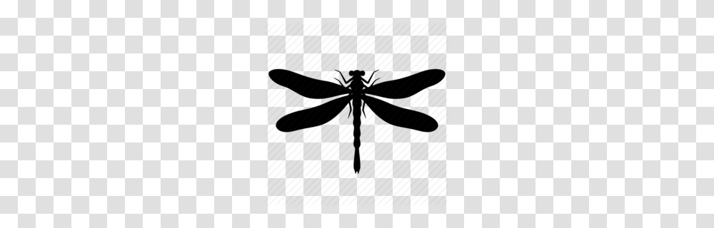 Download Dragonfly Silhouette Clipart Insect Clip Art Silhouette, Invertebrate, Animal, Anisoptera, Fish Transparent Png