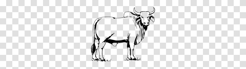 Download Drawing Indian Cow Clipart Brahman Cattle Holstein, Gray, World Of Warcraft Transparent Png