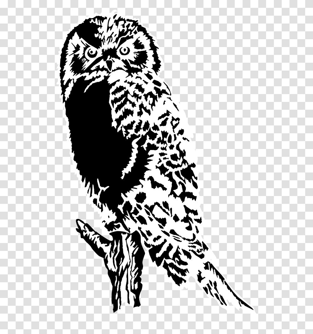 Download Drawing Of Owl Black White Black And White Owl Clipart Background, Stencil, Bird, Animal, Silhouette Transparent Png