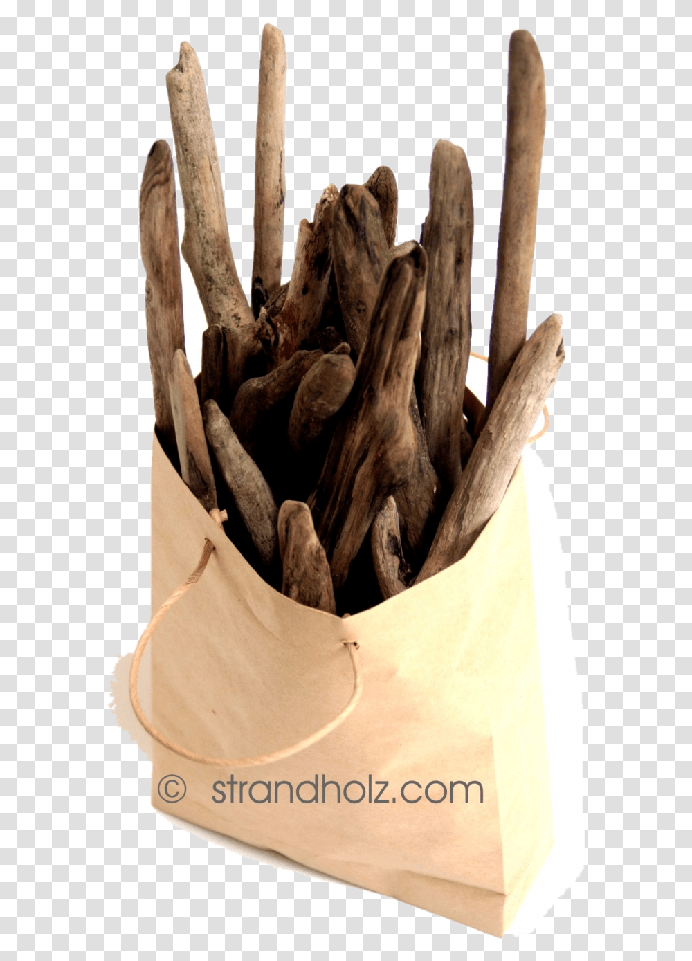 Download Driftwood In A Bag View1 Cinnamomum, Bird, Animal Transparent Png