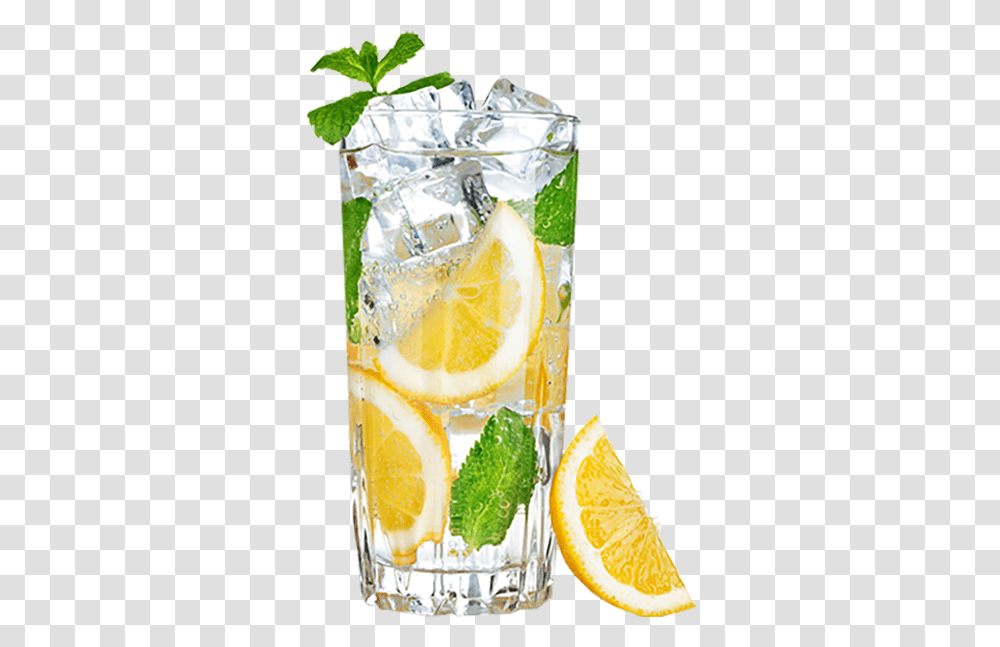 Download Drink Lemon Lemonade Ice Water Lime Clipart Drink Water With Lemon, Beverage, Citrus Fruit, Plant, Food Transparent Png