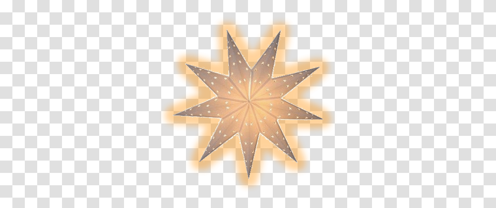 Download Dr'oon Symbol 9 Pointed Star Full Size 9 Pointed Star, Cross, Star Symbol, Leaf, Plant Transparent Png