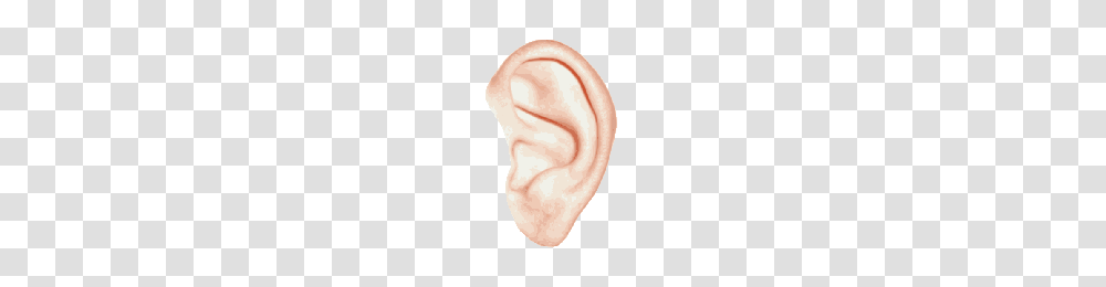 Download Ear Free Photo Images And Clipart Freepngimg, Person, Human Transparent Png