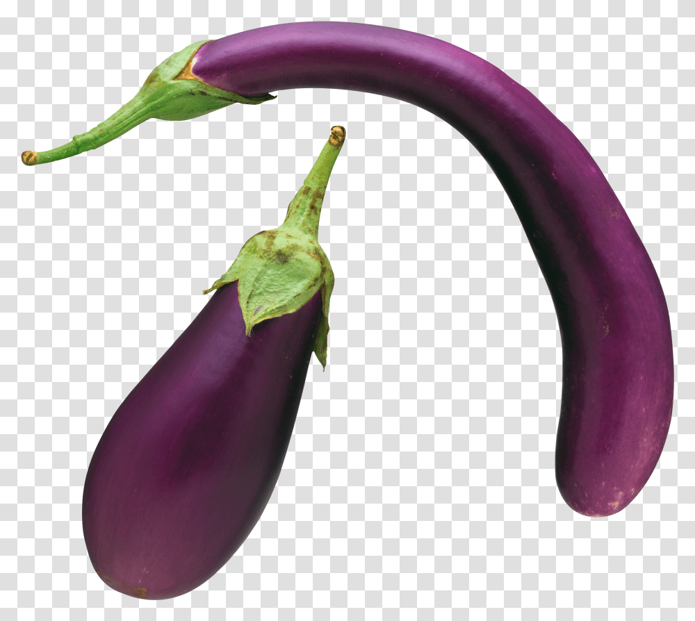 Download Eggplant Image For Free Eggplant Vegetable, Food, Bird, Animal Transparent Png