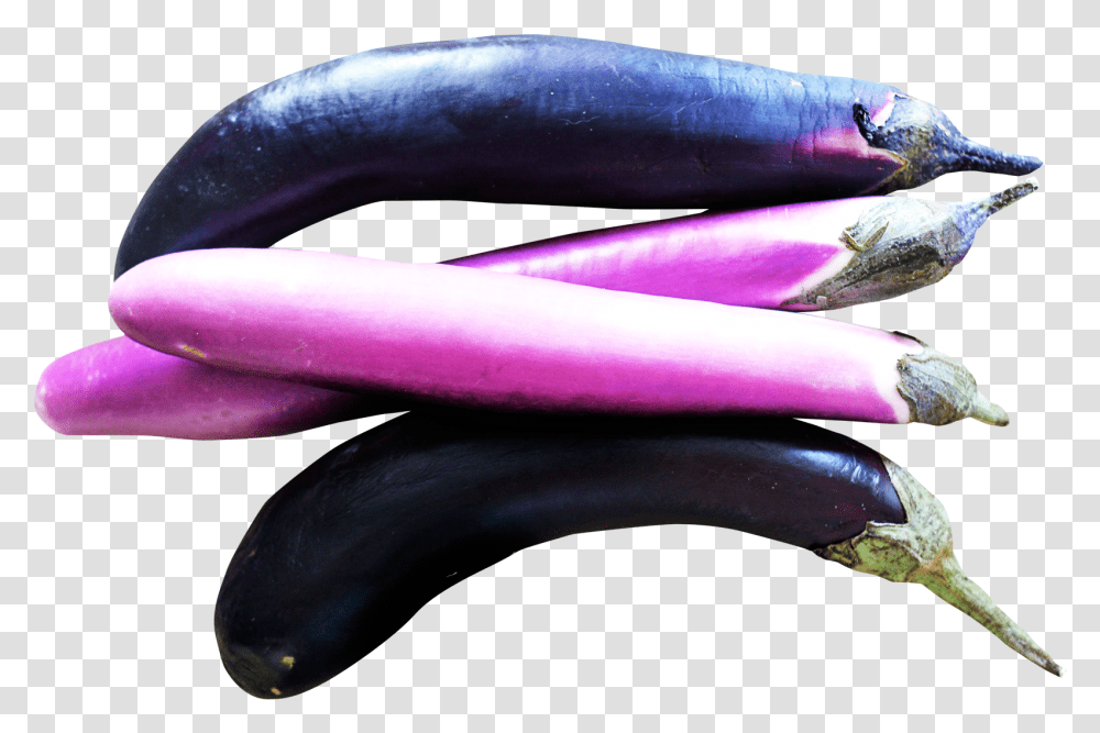 Download Eggplants Image For Free Plante Aubergine Clipart, Vegetable, Food, Purple Transparent Png