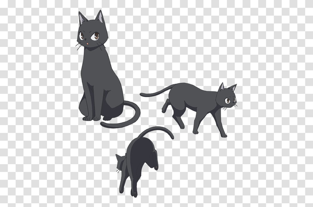 Download El Anime De Flying Witch Flying Witch Anime Cat, Pet, Mammal, Animal, Egyptian Cat Transparent Png