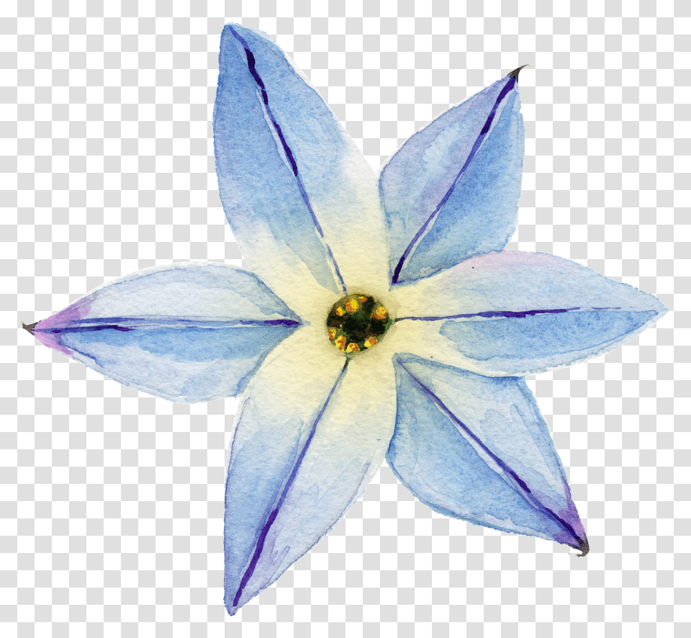 Download Elegant Watercolor Flowers Free White Watercolorflowers, Plant, Petal, Bird, Animal Transparent Png