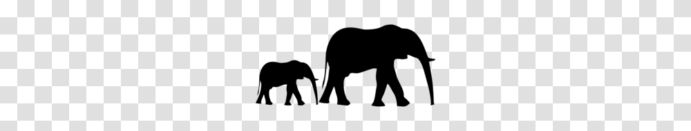 Download Elephant Clipart Asian Elephant Elephants, Gray, World Of Warcraft Transparent Png