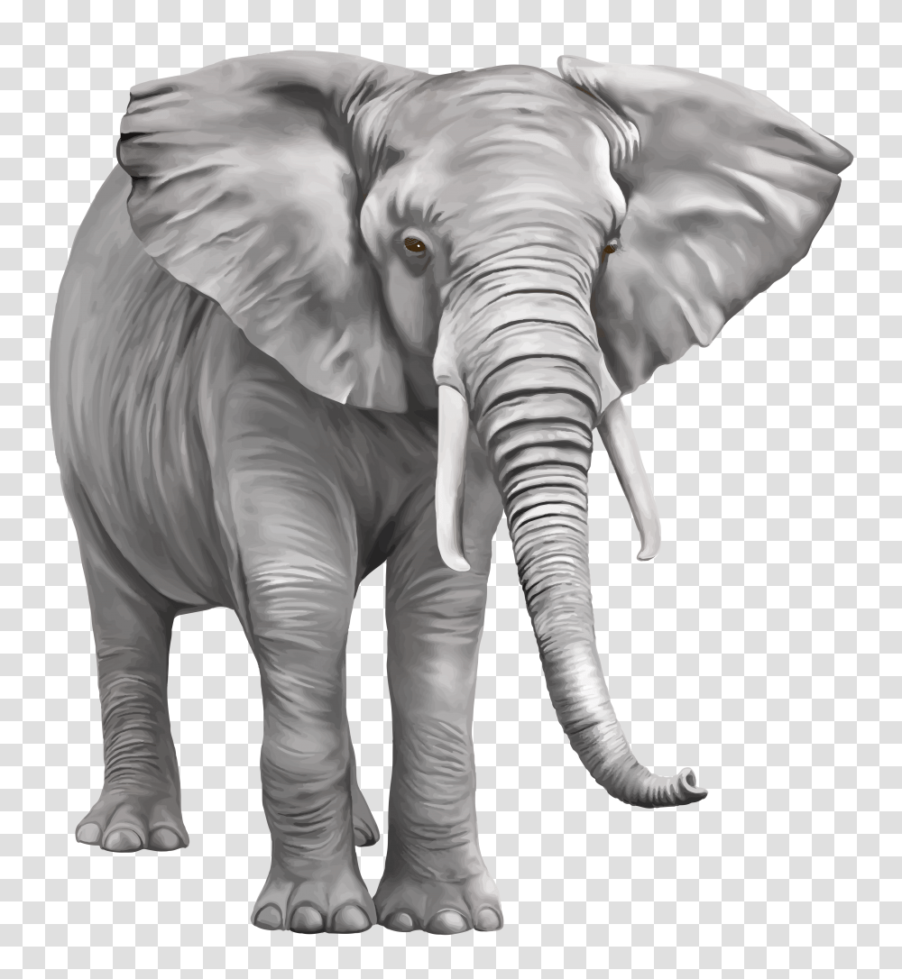 Download Elephant Free Background Elephant, Wildlife, Mammal, Animal, Building Transparent Png